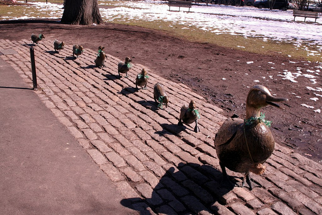 Estate Planning - Get your ducks in a row